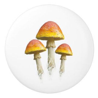 Trio de champiñones tirador cerámico (color)
