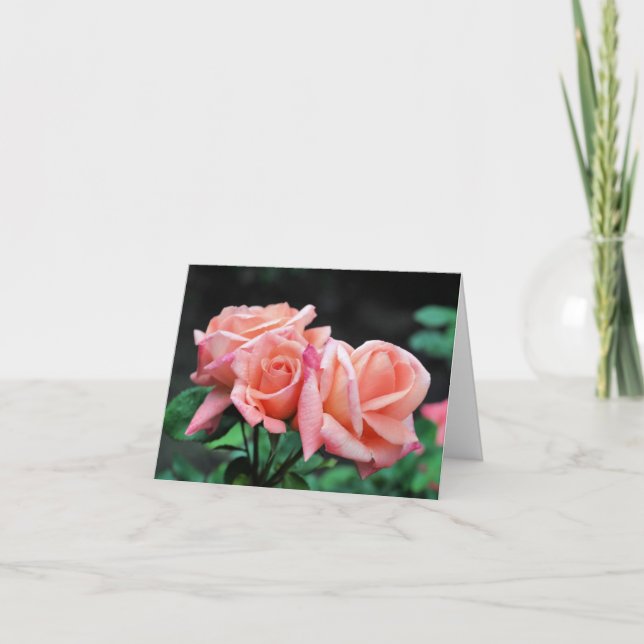 Trío de flores Rosa Melocotón Fotografía  (Anverso)