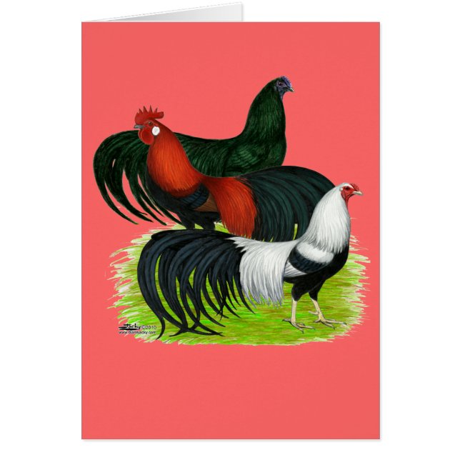 Trío de gallos de cola larga (Frente)