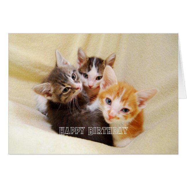 Trío de gatitos cálidos y esponjosos Feliz Cumplea (Anverso (Horizontal))