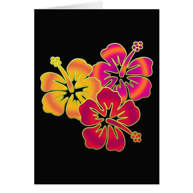 trío de hibisco | BG negro (Frente)