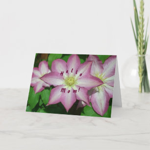 Trío de la tarjeta del día de madre del Clematis