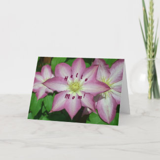 Trío de la tarjeta del día de madre del Clematis