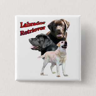 Trio de recuperación de Labrador 2 - Botón