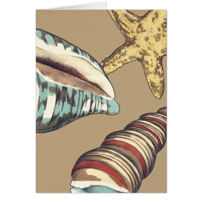 Trío de Shell en Khaki (Frente)