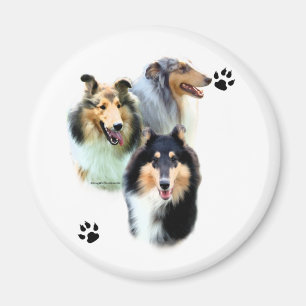 Trío del collie - imán