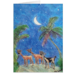 Trío en el claro de luna