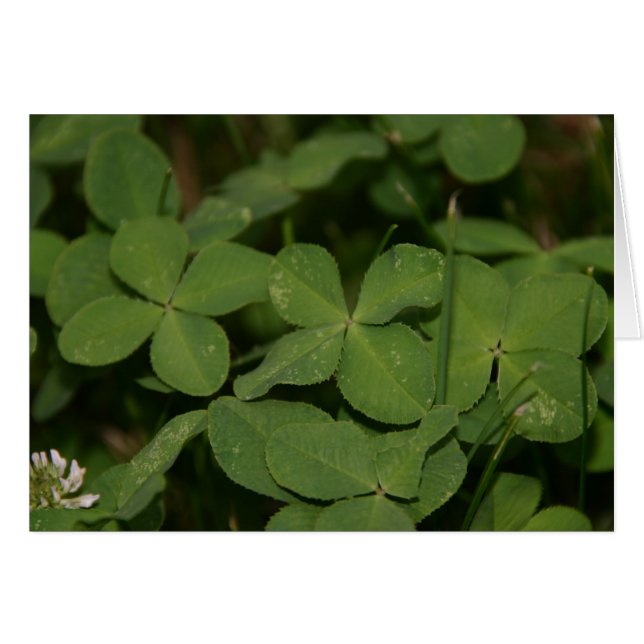 Triple tarjeta de suerte (Anverso (Horizontal))