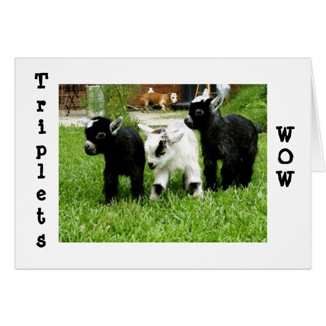 TRIPLETAS=WOW=FANTÁSTICO (Anverso (Horizontal))