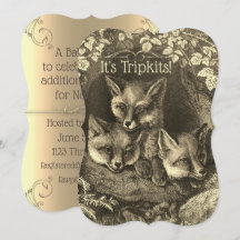 Triplets vintage baby fox baby ducha invitación