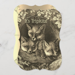 Triplets vintage baby fox baby ducha invitación