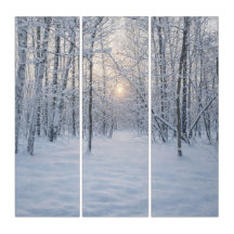 Luz de invierno en un tranquilo bosque de abedules