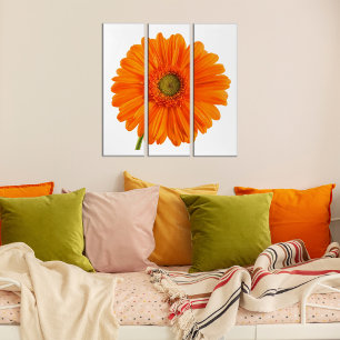 Tríptico Naranja Gerbera Daisy flor en foto blanca