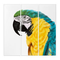 Pájaro tropical del loro