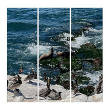 Sellos y aves Triptych