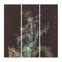 Thistle with Insects 1755 Johann C. Dietzsch