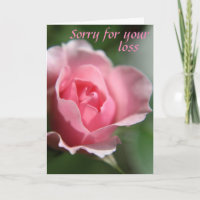 Triste color de rosa rosado para su tarjeta de la