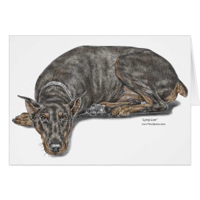 Triste culpable mirando a Doberman (Anverso (Horizontal))