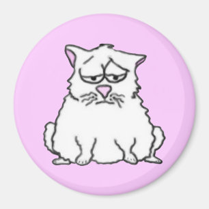 Triste imán para gatos