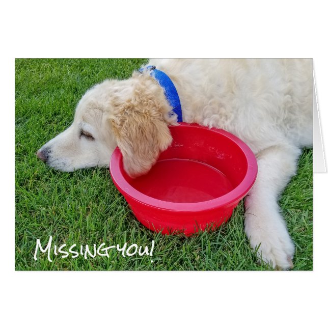 triste perro que te echa de menos (Anverso (Horizontal))