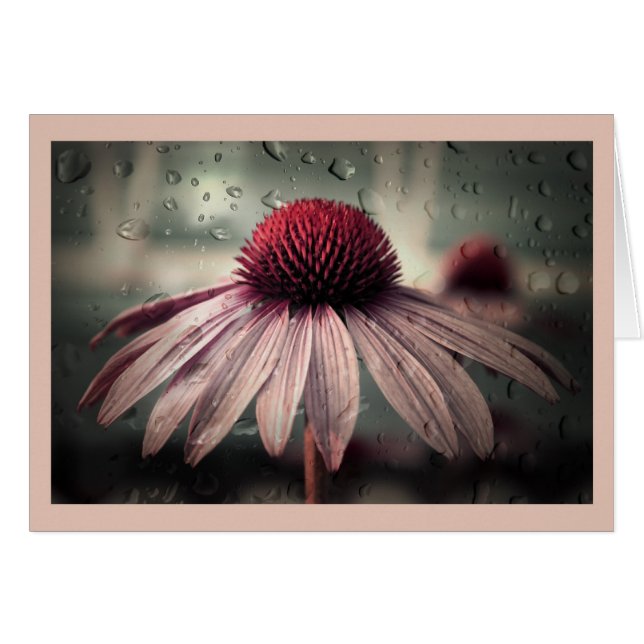 triste soledad (Anverso (Horizontal))