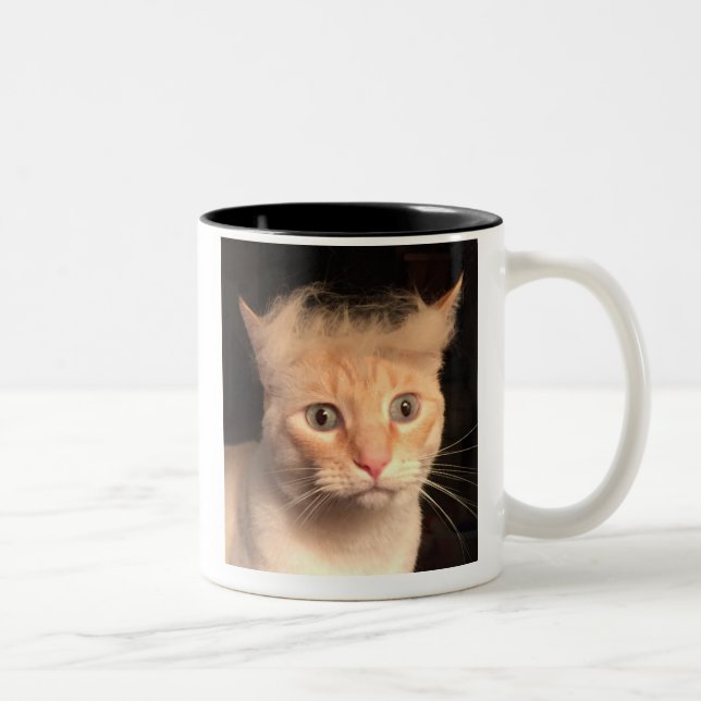 Triunfo su taza del gato (Derecha)