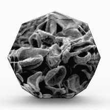 células o bacterias negras