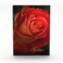 Mystique Dark Botánica Rosa Naranja Rojo Acrílico