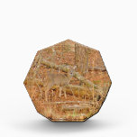 Trofeo Primer invierno de Baby Deer<br><div class="desc">Hagan un bebé venado en el lago Arrowhead venado en el borde de la diversión,  venado,  cazador de venados,  cazador de venados,  cazador,  cazador de cazadores,  cazador de cazadores de venados,  cazadores de venados.</div>