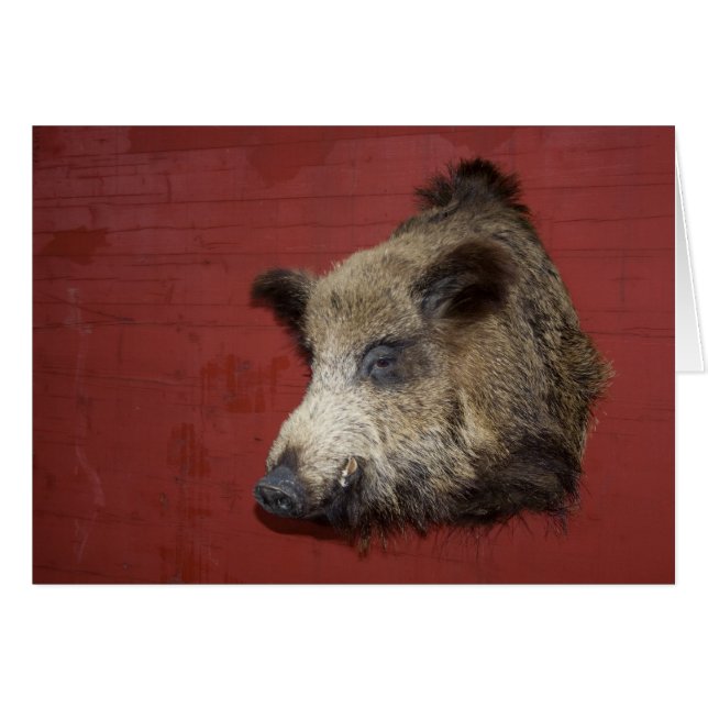 Trofeo Wild Boar (Anverso (Horizontal))