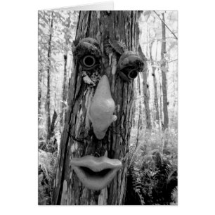 Troll de árbol en un árbol Big Cypress.