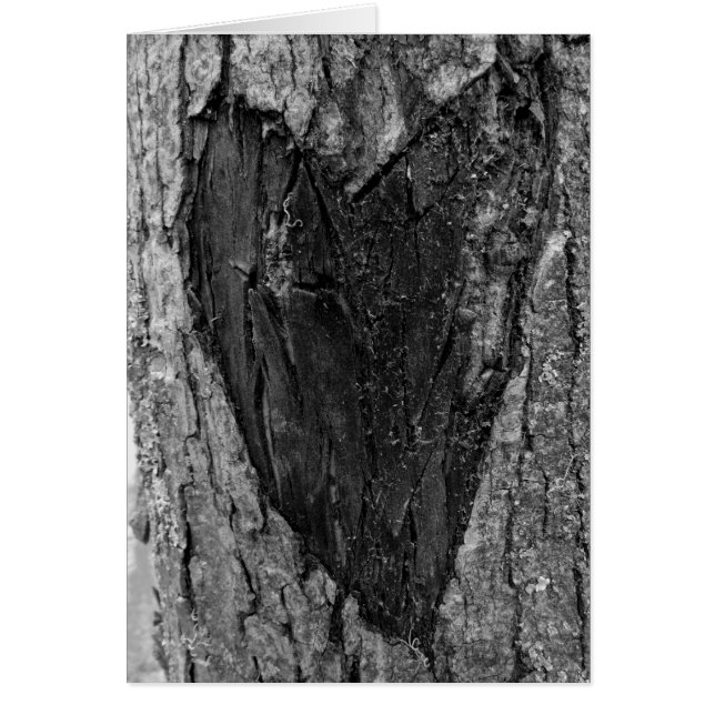 Tronco de corazón de árbol (Frente)