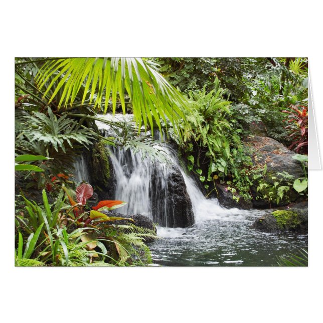 Tropical (Anverso (Horizontal))