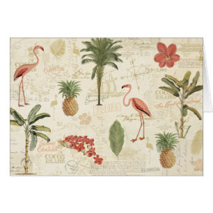 Trópico de Floridian