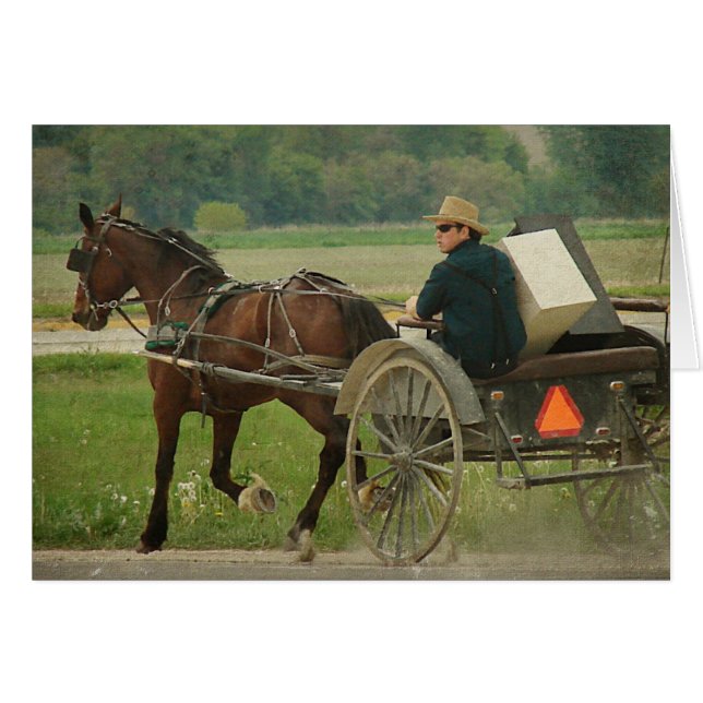 Trote en casa (Anverso (Horizontal))