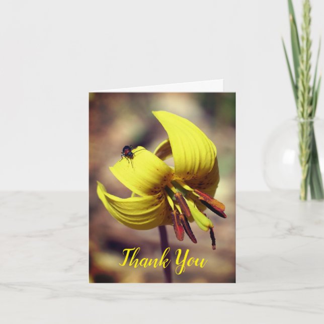 Trout Lily Y Amigo Floral Gracias Tarjeta (Anverso)