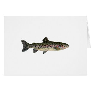 Trucha arco iris (Great Lakes)