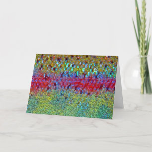 Trucha arco iris - Tarjeta