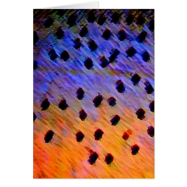 Trucha de asesino - tarjeta (Frente)