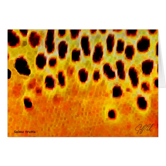 Trucha de Brown - tarjeta (Anverso (Horizontal))