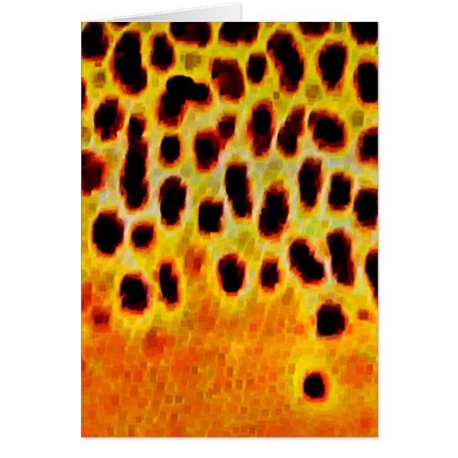 Trucha de Brown - tarjeta (Frente)