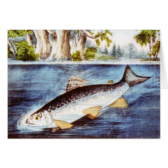Trucha Enganchada - Arte Antiguo de Alta Calidad (Anverso (Horizontal))