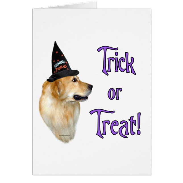 Truco de Golden Retriever (Frente)