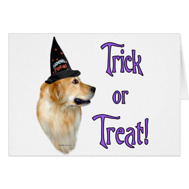 Truco de Golden Retriever (Anverso (Horizontal))