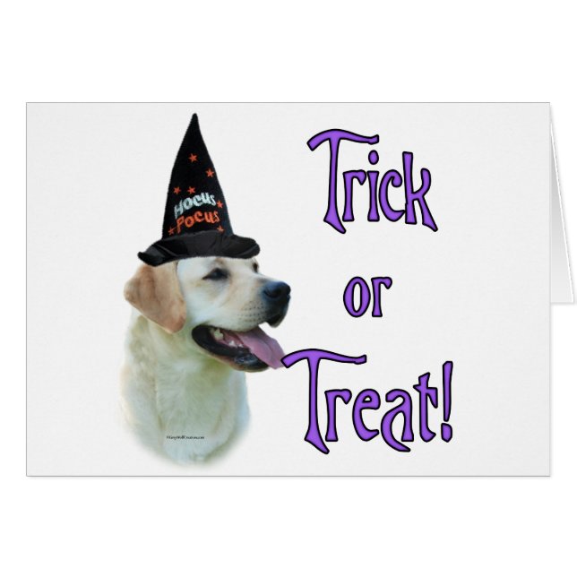 Truco de Labrador Recuperador (amarillo) (Anverso (Horizontal))