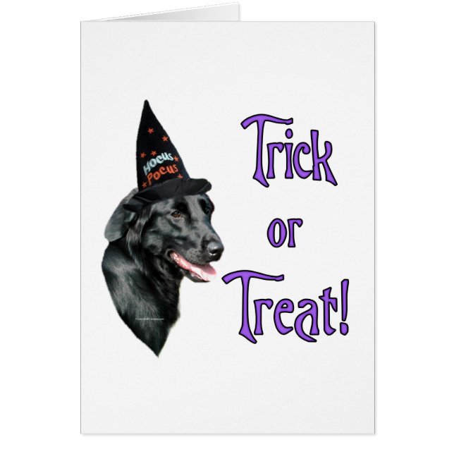 Truco de recuperación de capa plana (Frente)