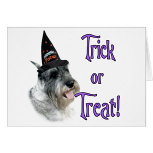 Truco de Schnauzer estándar