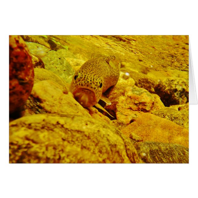 Truco en la corriente (Anverso (Horizontal))