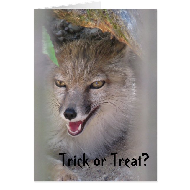 ¿Truco o invitación? (Frente)