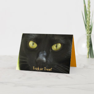 Truco o invitación